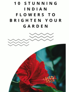 cover flower'
