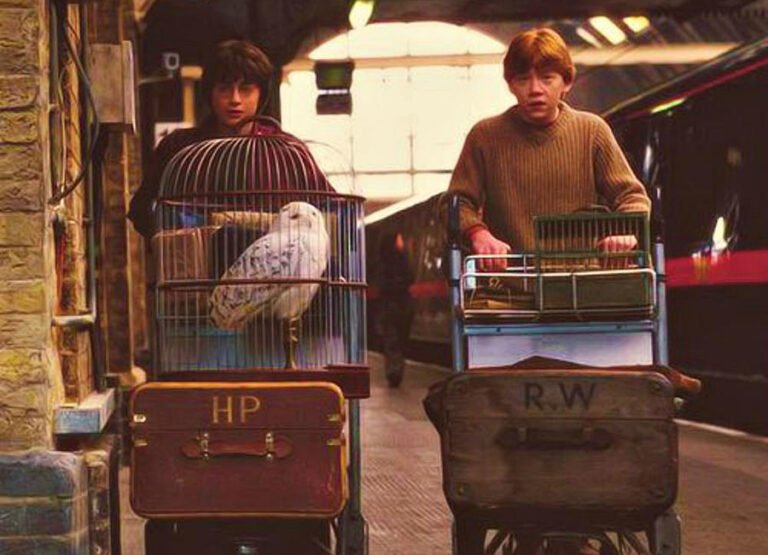 Harry Potter fans gathered in large numbers at King's Cross Station in London to celebrate the day their beloved wizard departed for Hogwarts.