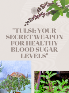 Tulsi Your Secret Weapon for Healthy Blood Sugar Levels