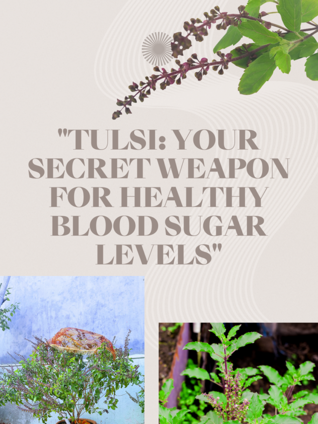 “Tulsi: Your Secret Weapon for Healthy Blood Sugar Levels”